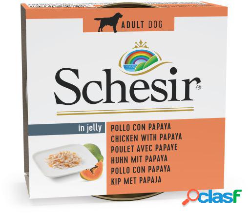 Schesir Dog Frango e Papaia 150g - Comida Húmida em Lata para Cão