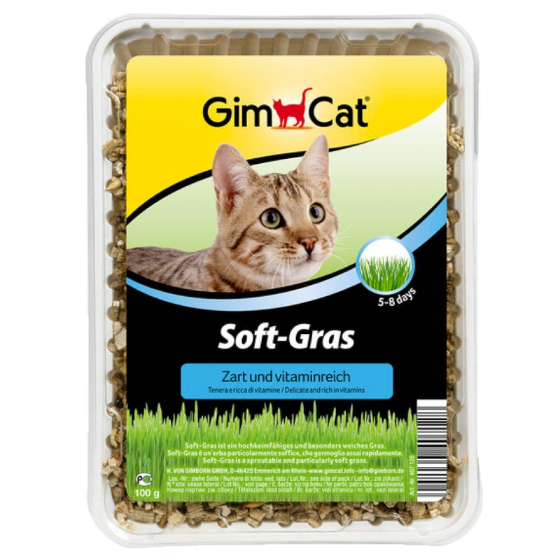 Erva para Gatos GimCat 100g - Snack para Gato