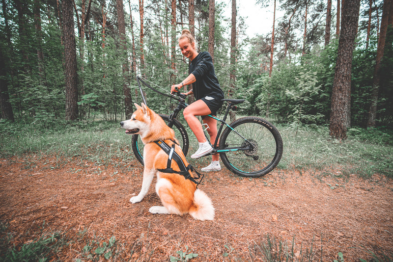 NON-STOP Bike Antena - Antena para Bikejoring e/ou Mushing com Cães