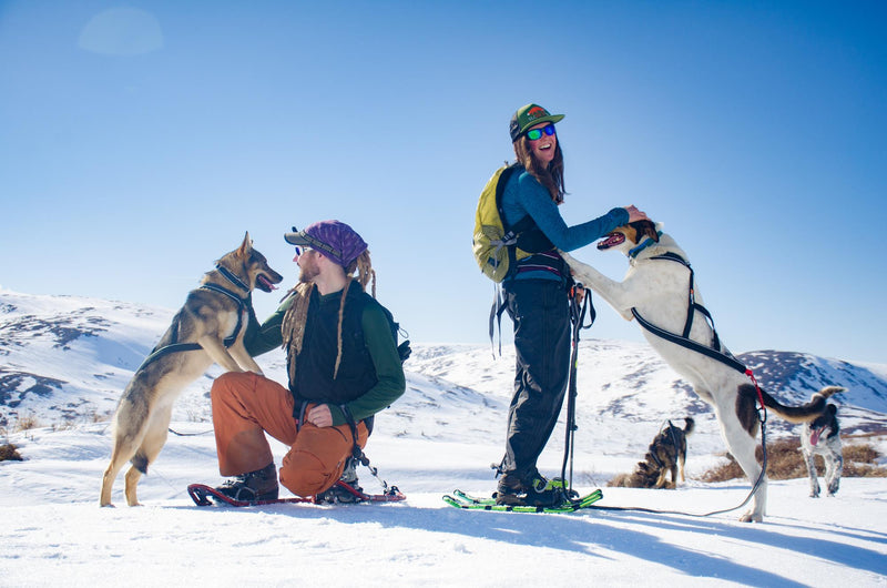 NON-STOP Nansen - Arnês de Canicross e/ou Mushing