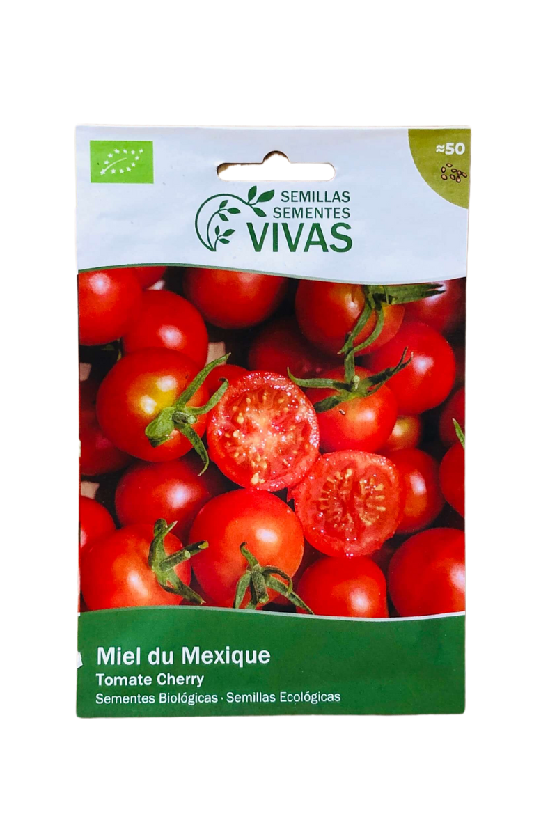 TOMATE MIEL DU MEXIQUE BIO PT - SEMENTES