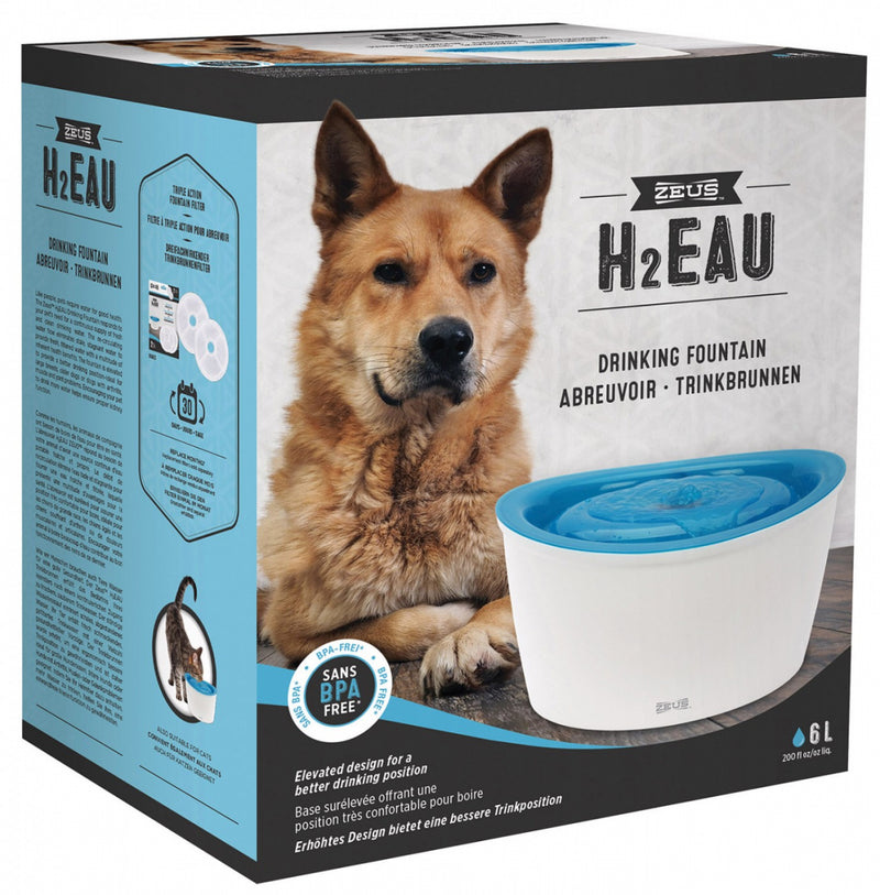 Fonte Zeus Cão 6L Bebedouro Automático de Cão