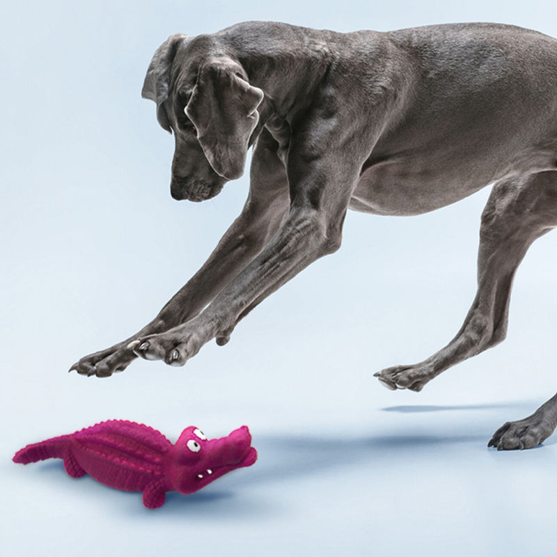 Croci Panton Croco 25cm - Brinquedo para Cão