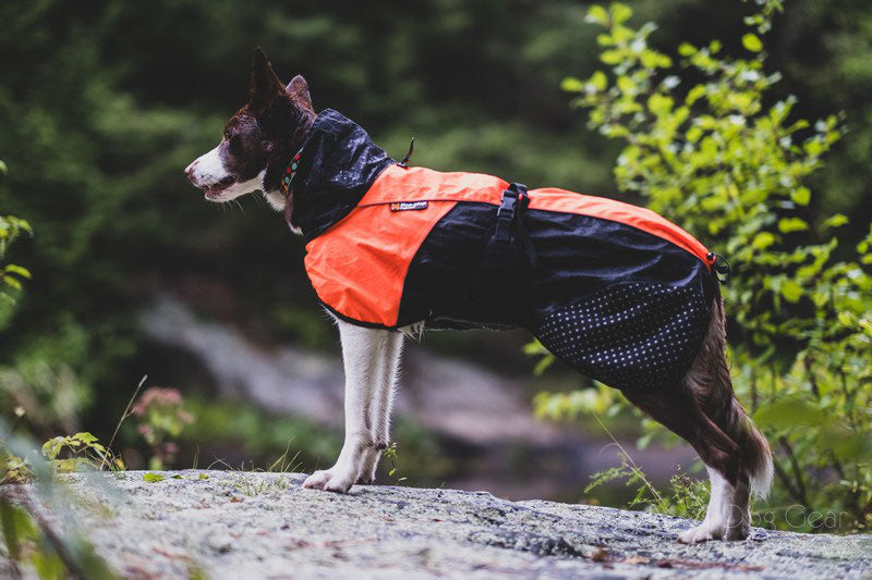 NON-STOP Fjord - Capa/Roupa para Cão