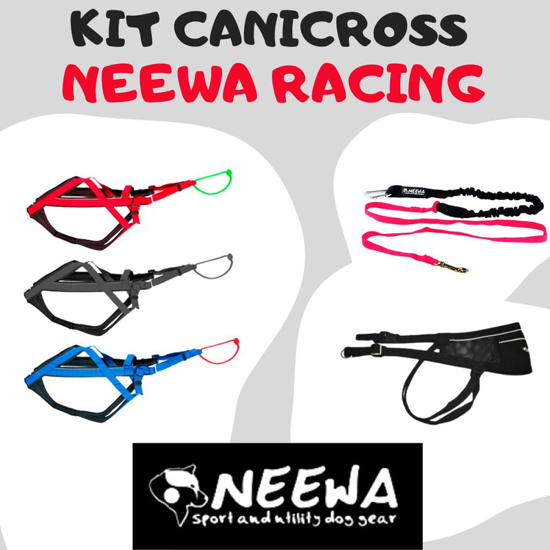 NEEWA Kit Racing Pro - Kit de Canicross e/ou Mushing