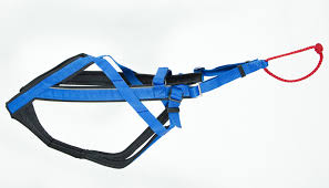 NEEWA Racing Pro Azul - Arnês de Canicross e/ou Mushing