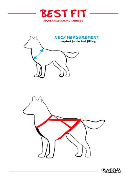 NEEWA Racing Pro Azul - Arnês de Canicross e/ou Mushing