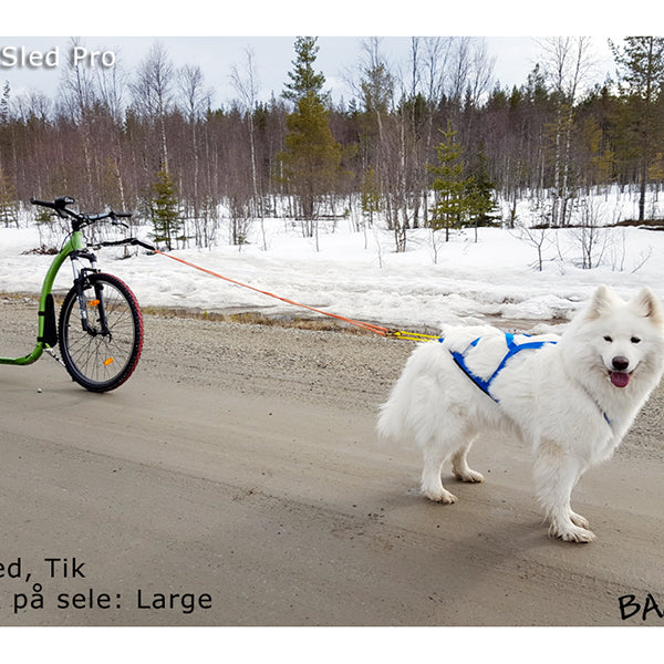 NEEWA Sled Pro Azul - Arnês de Canicross e/ou Mushing