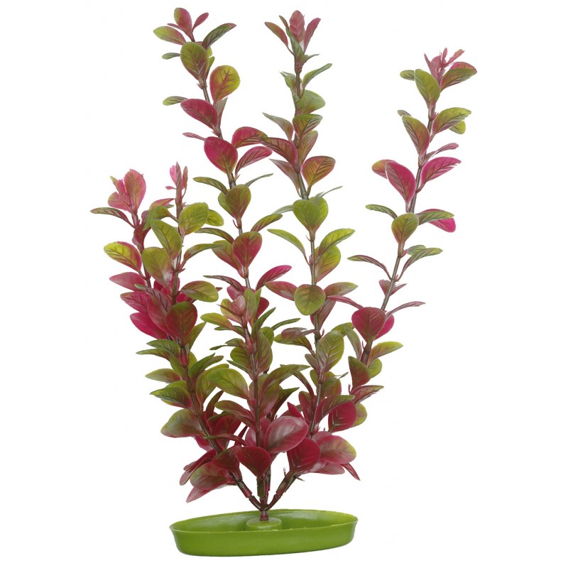 Marina Planta 20cm - Decoração para Aquários