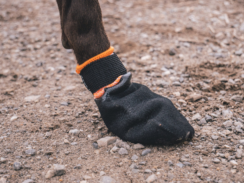 NON-STOP Protector Boties - Botas Protetoras de Cão para Canicross e/ou Mushing