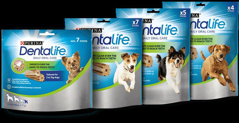 DentaLife Purina - Snack para Cão