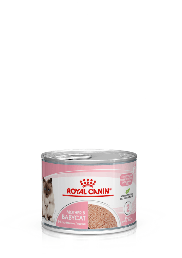 Royal Canin Mother BabyCat 195g - Comida Húmida em Lata para Gato