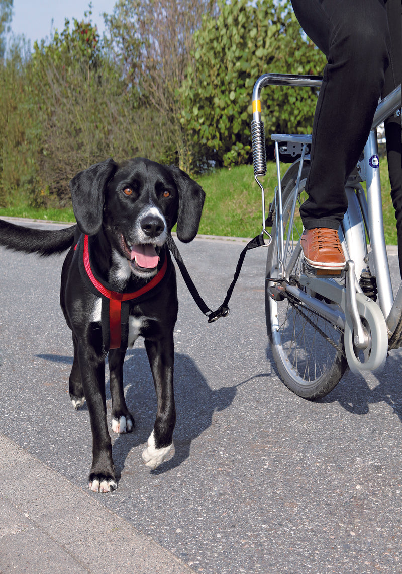 Distanciador p/ Bicicletas para Cão