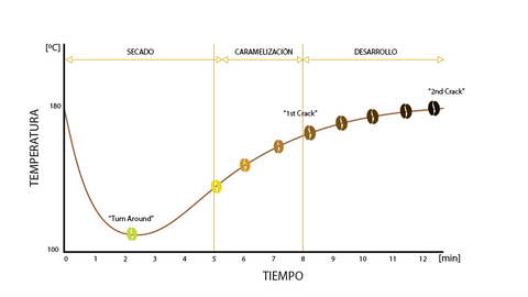 Gráfica que muestra la evolución de la temperatura en la fase del tostado del café y sus diferentes bases y variaciones del color del café en cada una.