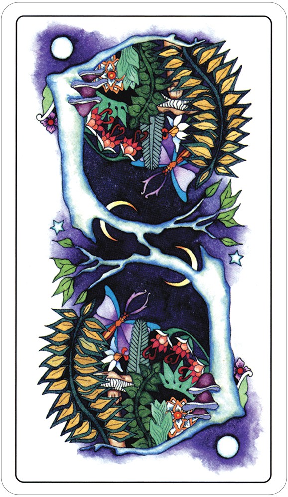 Tarot Of A Moon Garden Dragonspace Gift Shop