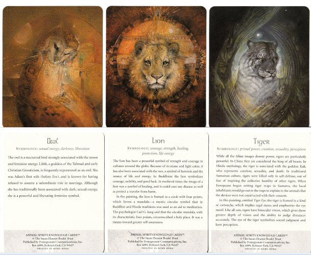 Animal Spirits Knowledge Cards Dragonspace Gift Shop