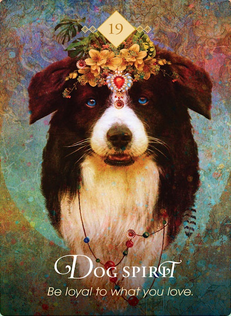 Spirit Animal Oracle Dragonspace Gift Shop