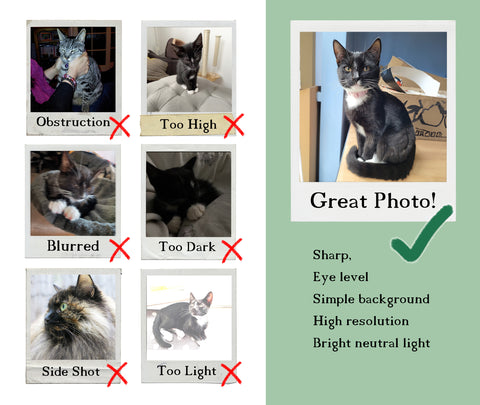 Photo Guide