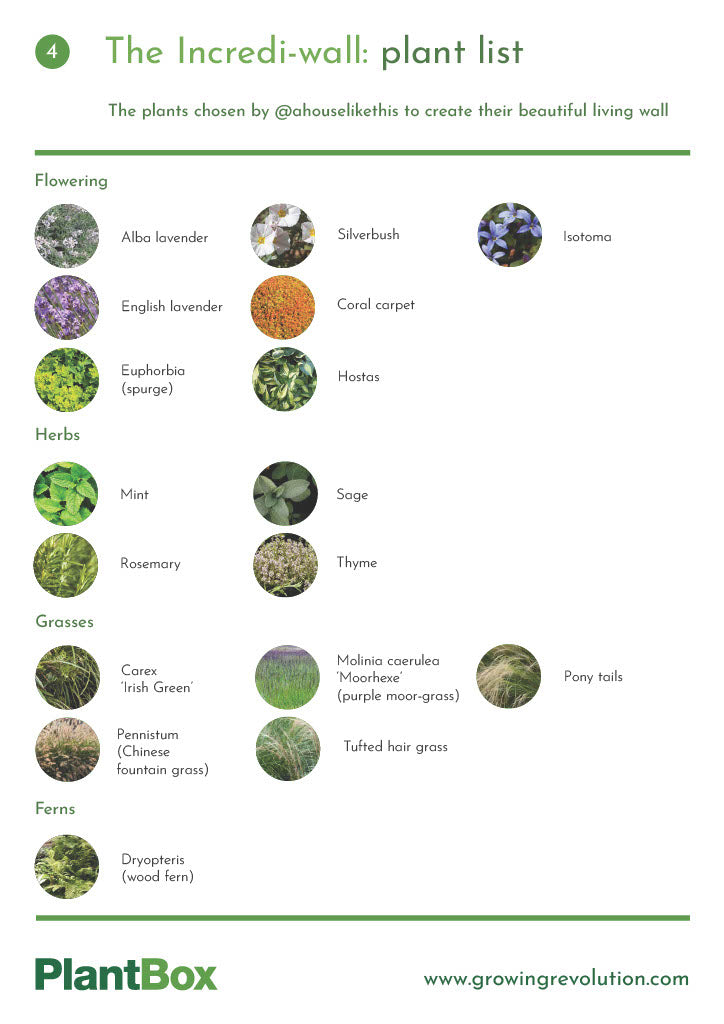These are the plants chosen by AHLT to create their beautiful living wall. Flowering: Alba Lavender, Euphorbia (spurge), Coral Carpet, Hostas, english Lavender, Isotoma, Purple Top, Silverbush. Herbs: Mint, Sage, Rosemary, Thyme. Grasses: Carex 'Irish Green', Purple moor-grass, Chinese fountain grass, Tufted hair grass, Pony tails. Ferns: Wood Fern.