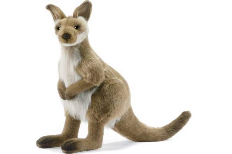 wallaby plush