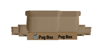 Pug Box 6 Month