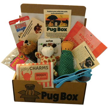 Pug Box Zoo Theme