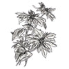 Sizzix 3-D Texture Fades Embossing Folder - Mini Poinsettia by Tim Holtz
