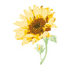 Sizzix Layered Clear Stamps Set 6PK - Sunflower Stem