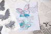 Sizzix A5 Clear Stamps Set 8PK w/2PK Framelits Die Set Painted Pencil Butterflies by 49 and Market