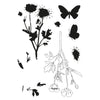 Sizzix A5 Clear Stamps Set 7PK w/ Framelits Die Set Painted Pencil Botanical by 49 and Market