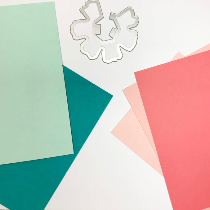 coloured cardstock 