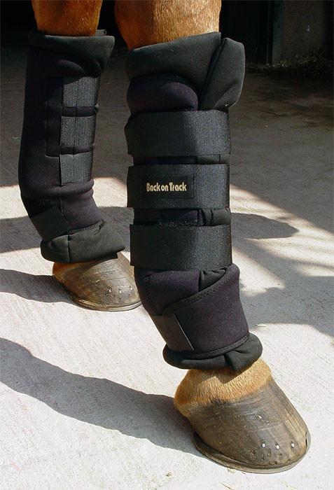 bot boots for horses