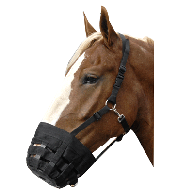 Best Friend Deluxe Grazing Muzzle