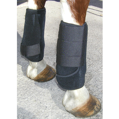 horse sport boots