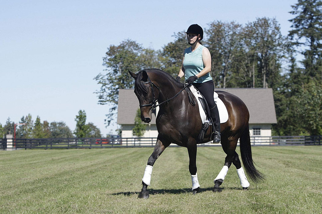 Valena Horse Boots