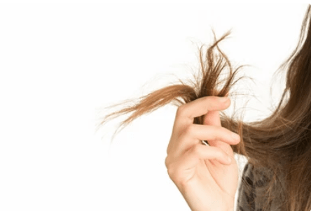 Hair Split Ends