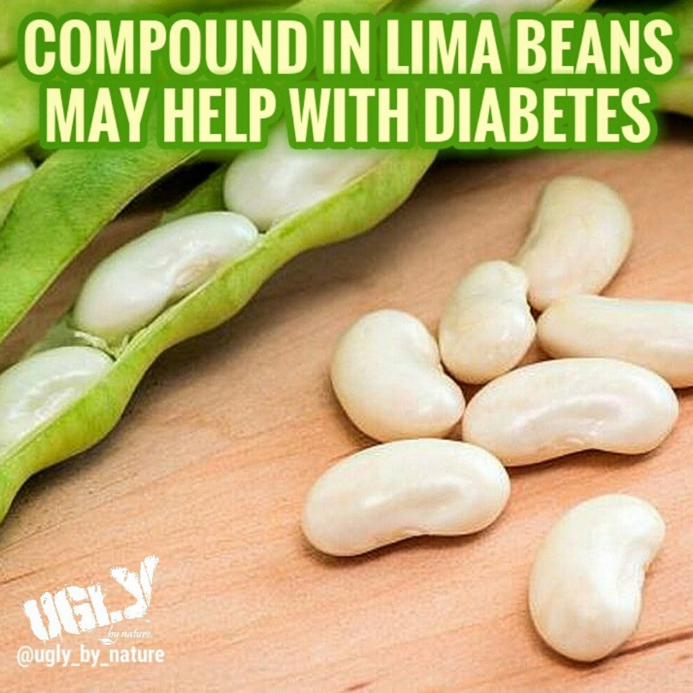 Compound In Lima Beans May Help With Diabetes Ugly By Nature