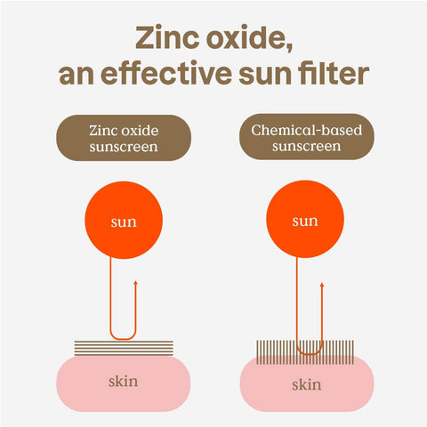 graphic showing the difference between a mineral filter and a chemical filter sunscreen