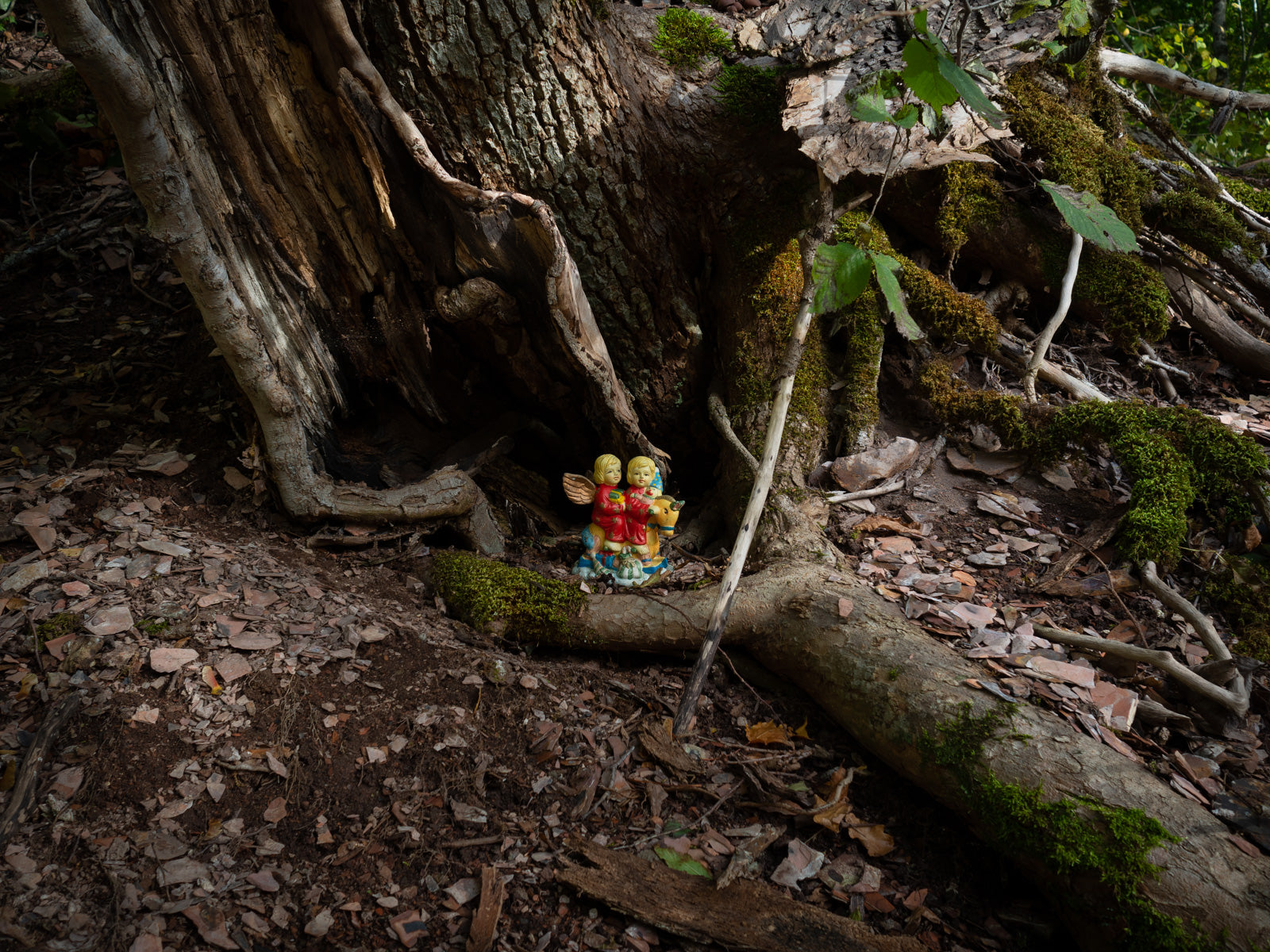 Christmas ornaments found in a forest in Sweden