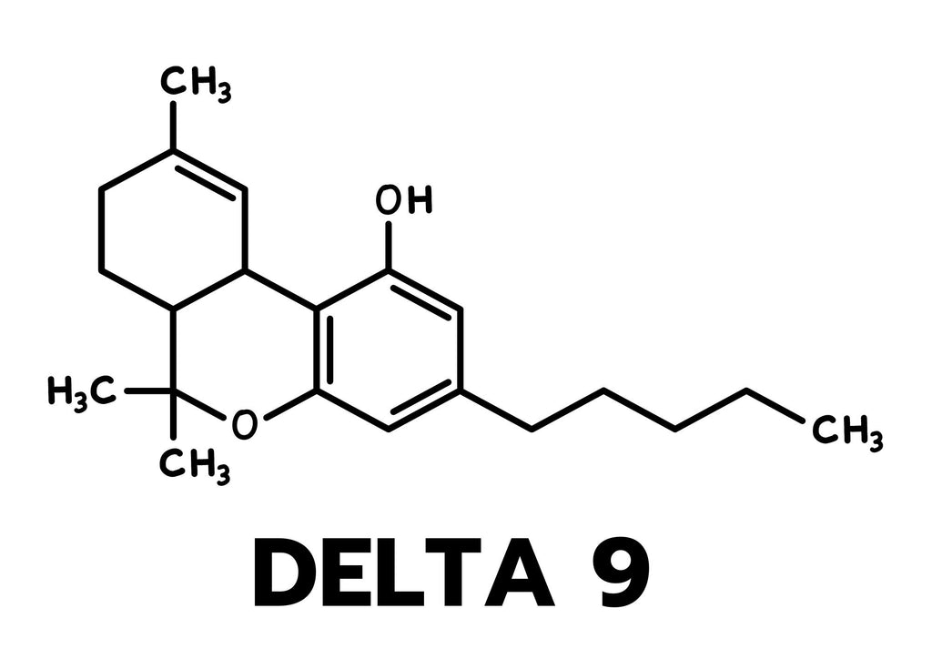 what is delta 9