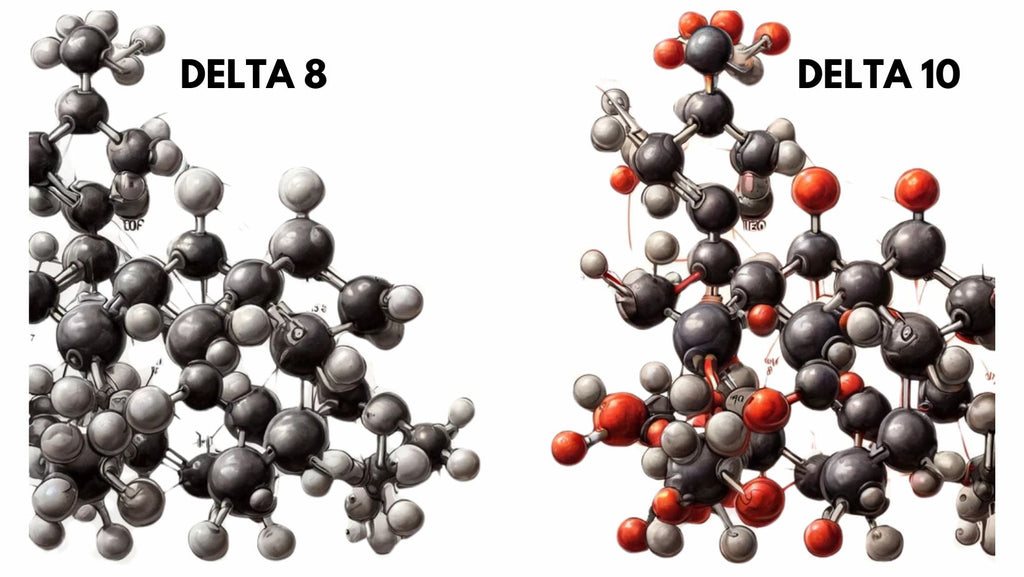 delta 8 vs delta 10