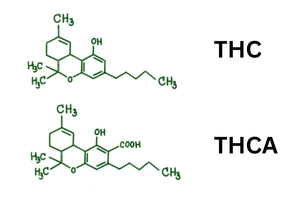 THC vs THCA