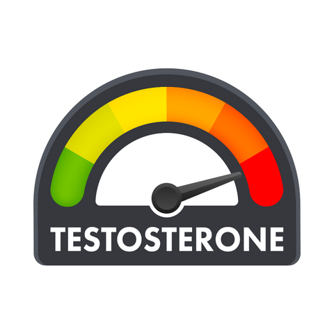 natural ways to increase testosterone