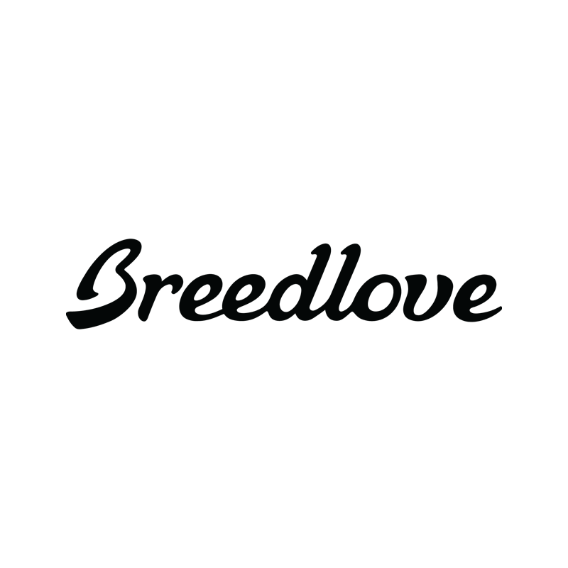 Breedlove Guitars