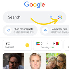 screenshot of google image search