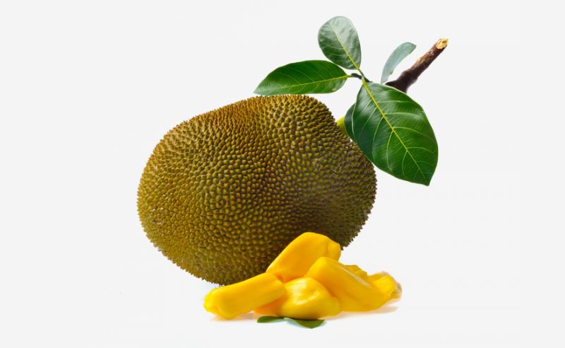 Jackfruit