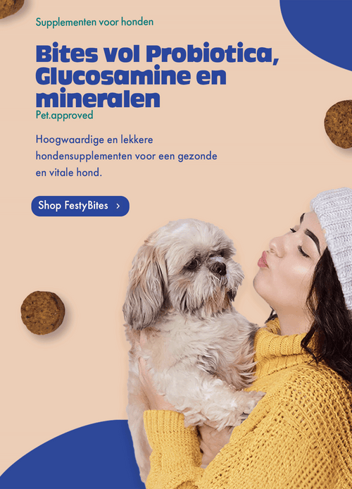 FestyBites de beste Probiotica, Glucosamine, MSM hondensupplementen tegen jeuk, tegen artrose, tegen dunne ontlasting