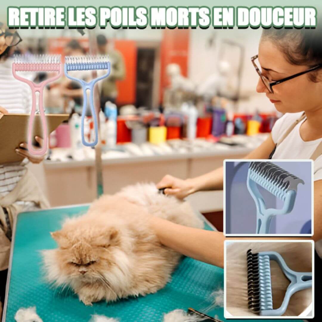 brosse-à-chat-déméle