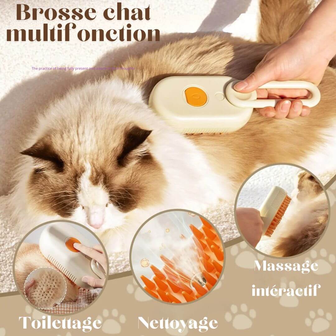 brosse-pour-chat-multifonction