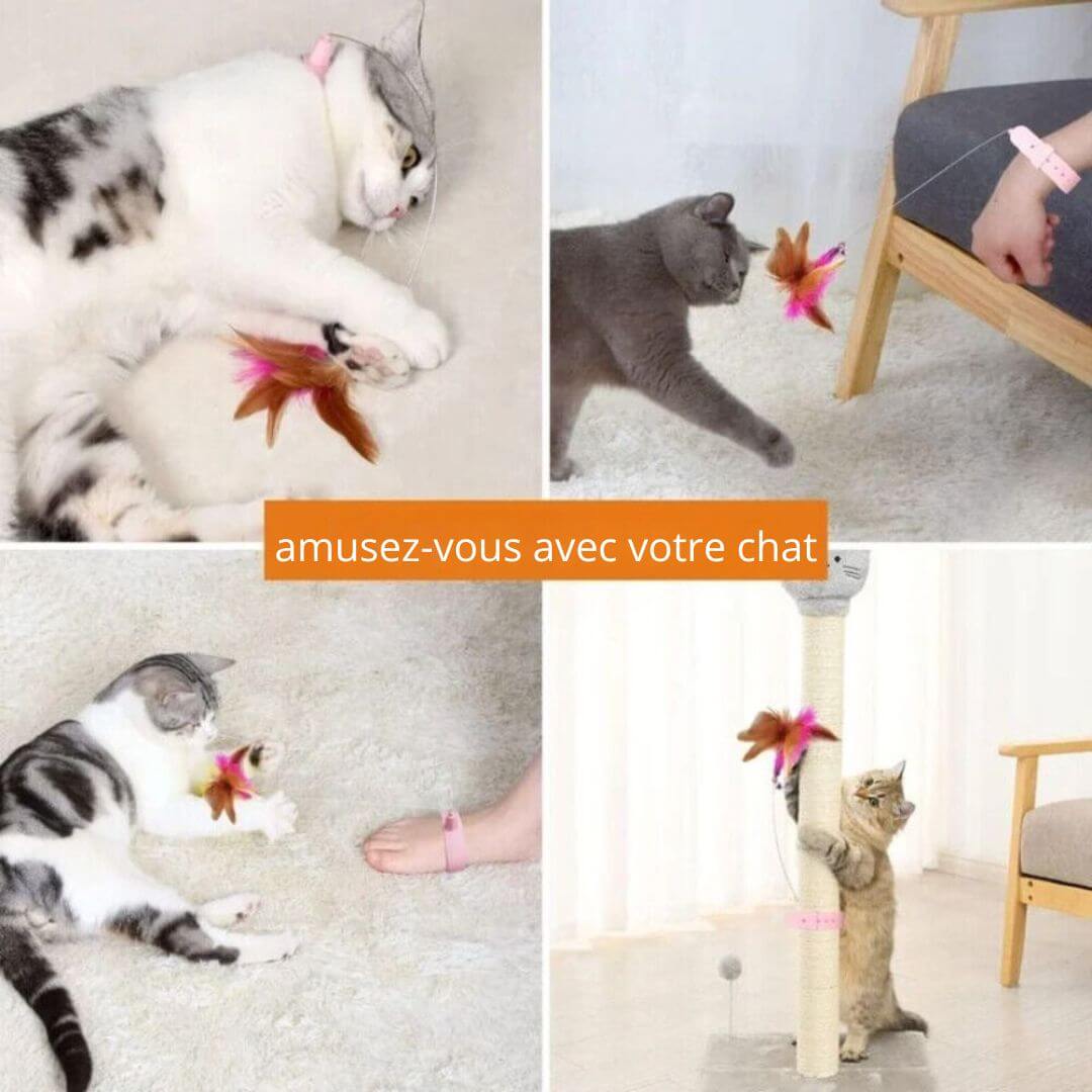 jouet-pour-chat-divertissant